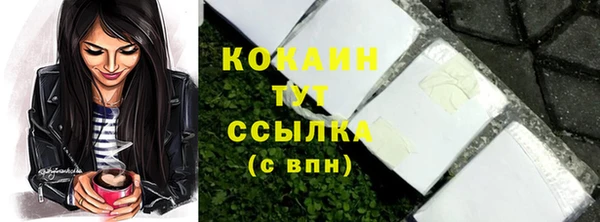 ПСИЛОЦИБИНОВЫЕ ГРИБЫ Барнаул