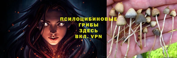 трава Дмитриев