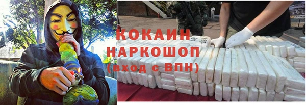 ПСИЛОЦИБИНОВЫЕ ГРИБЫ Барнаул