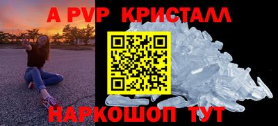 индика Камышлов