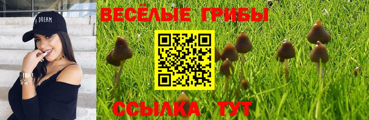 Псилоцибиновые грибы Magic Shrooms Жуковский
