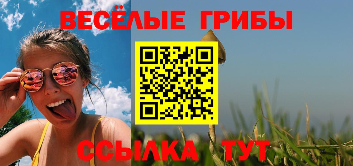 Псилоцибиновые грибы Magic Shrooms  Галлюциногенные грибы мицелий  Жуковский  цена   Вход с VPN 